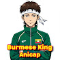 Burmese King Anicap logo