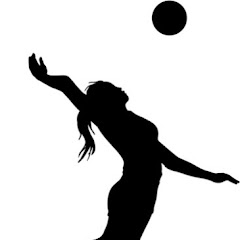 S.A. Stellar Volleyball 