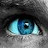 @HifiHead__34's avatar