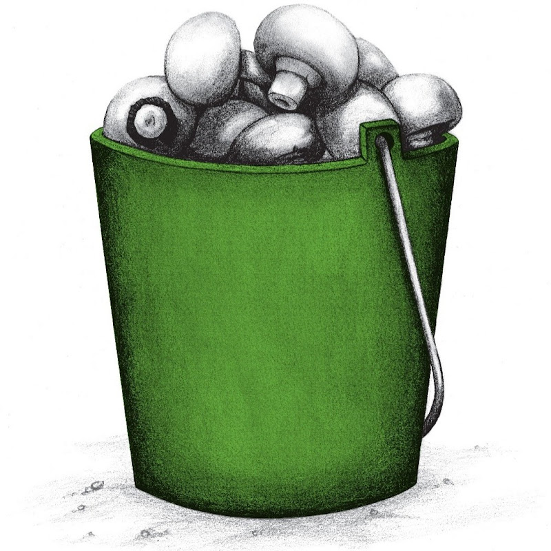 SA Mushrooms