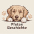 Qg2IwYf-wpA-channel-avatar-Pfoten geschichte