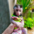 EssR-JEtfWI-channel-avatar-lovely Fauna