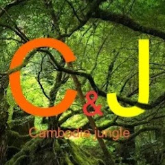 Cambodia Jungle