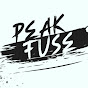 Peak Fuse logo