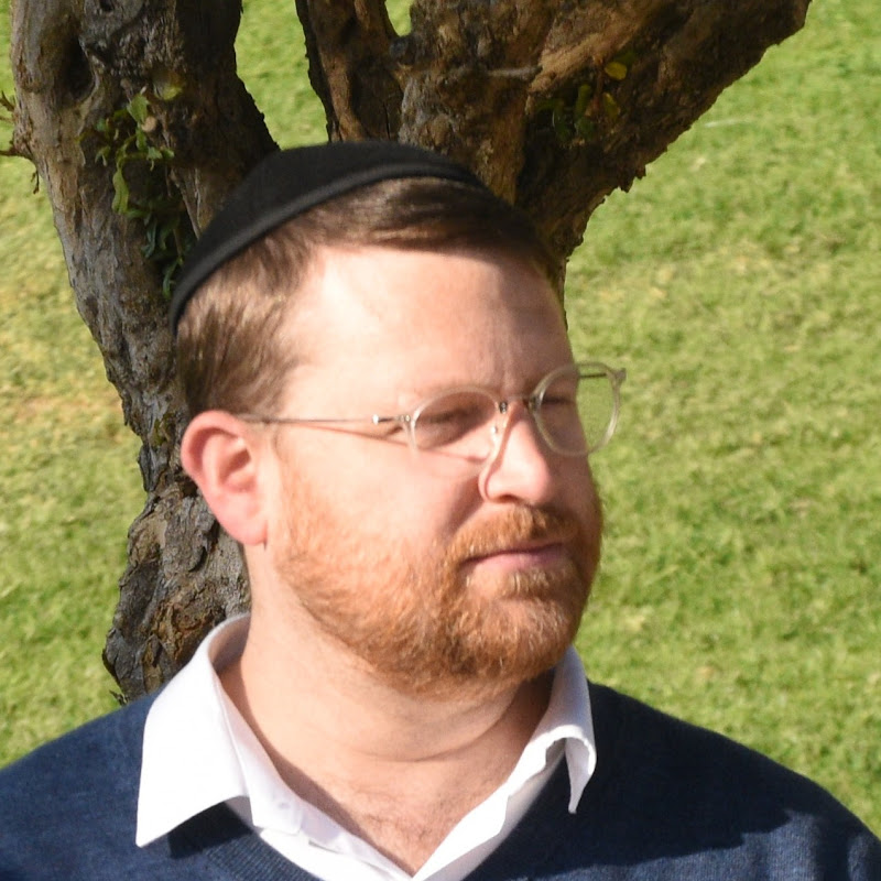 אליהו שטיין | Eliyahu Stein