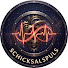 Uyp9LHaL14g-channel-avatar-Schicksalspuls