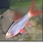 @colbylandry4815 Avatar