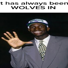 Timberwolves enjoyer 🐺🏀