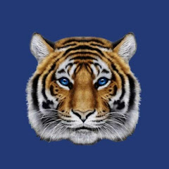 Tiger Financial News Network Avatar
