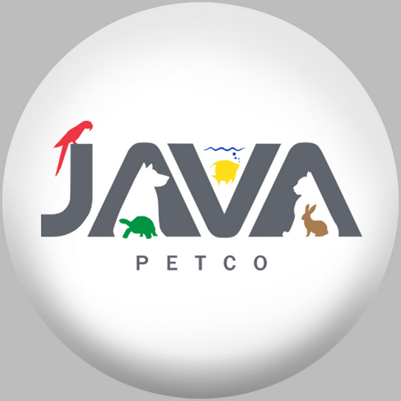 JAVA PET & COMPANY