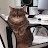@de_humanized's avatar