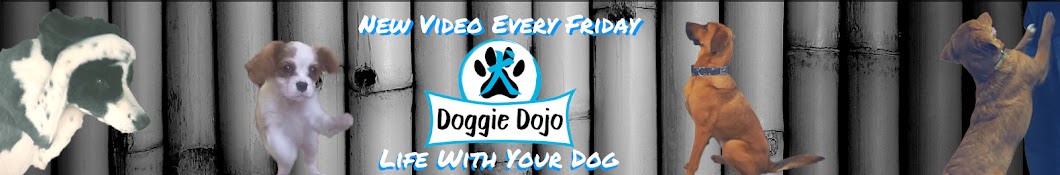 Doggie Dojo YouTube channel avatar