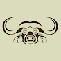 Buffelsdrift Game Lodge & Foundation logo
