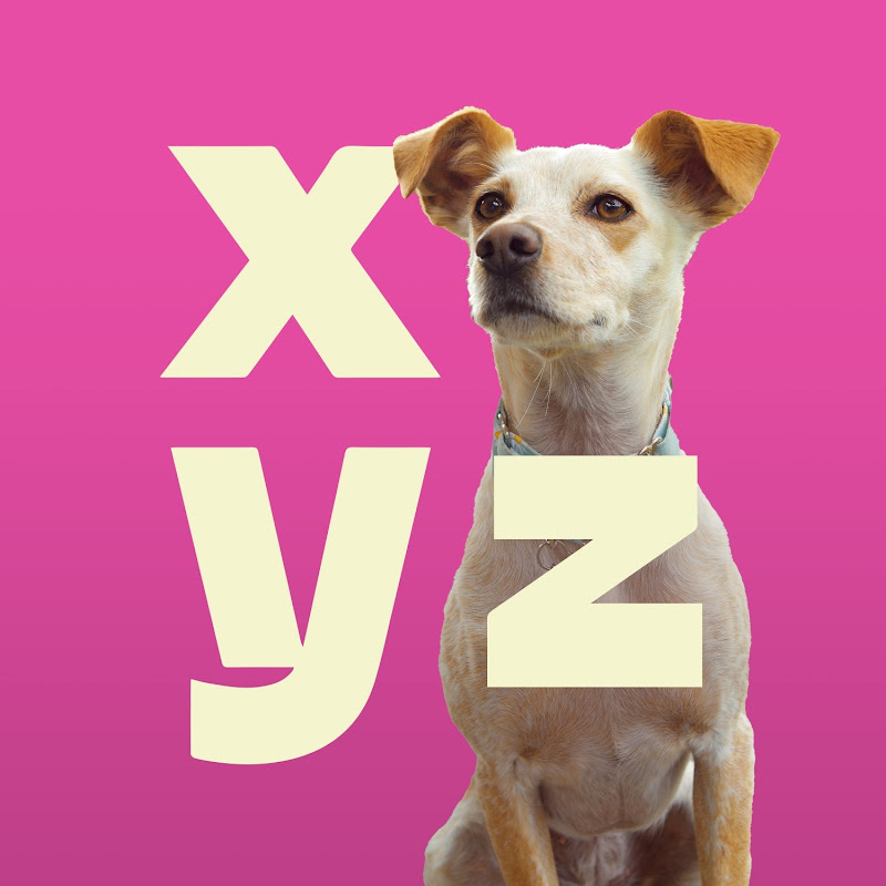 XYZ Reviews