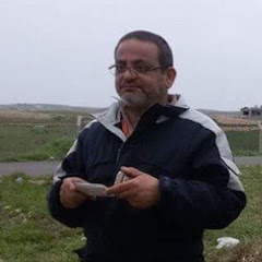 المهندس محمد المولى