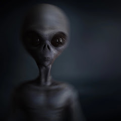 Brevard County Florida Extra Terrestrial & Nature