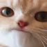 eM5wu0K-hIk-channel-avatar-achoo