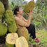 Wy3c4TgEVdk-channel-avatar-Rural Harvest Farm