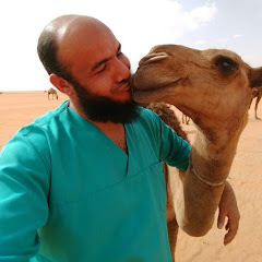 محمد حسين البيطري