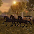 Fm2KQdL92nQ-channel-avatar-maria horseranch