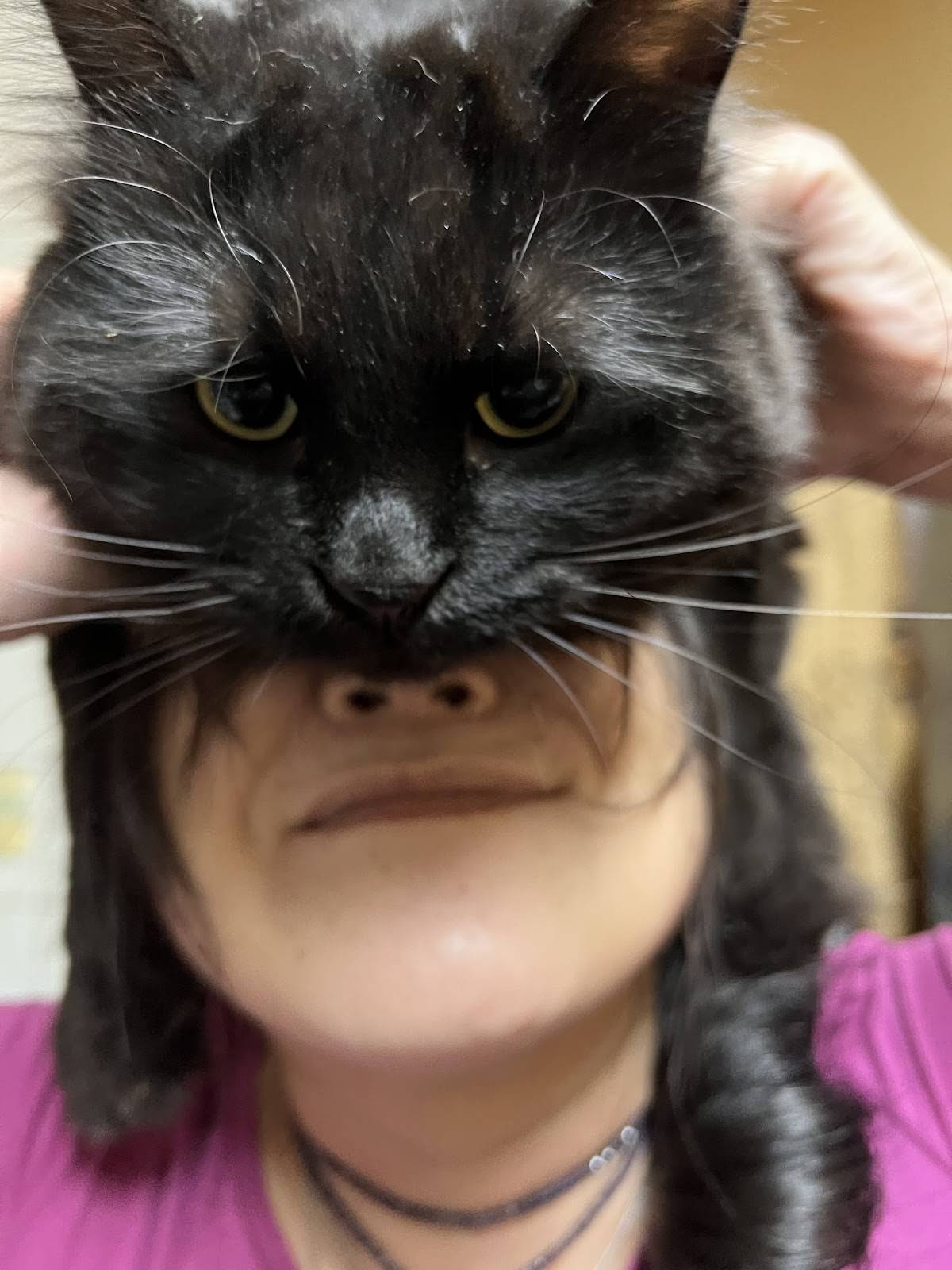 お月さまと黒猫ちゃんカスタムボールペン YouTube