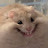 Photo of @Normolyoutubermanxe