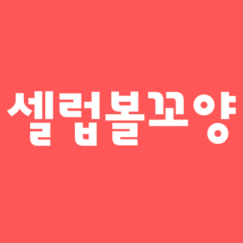 셀럽볼꼬양 avatar