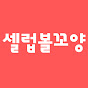 셀럽볼꼬양