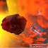 0ZbiHIIB4WQ-channel-avatar-Mr.frendly