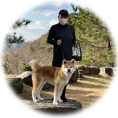 秋田犬 ごん☆みく チャンネル　Akita Inu Gonta Mikuru