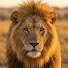 8iHh4xwD_Kw-channel-avatar-Atlas Salvaje