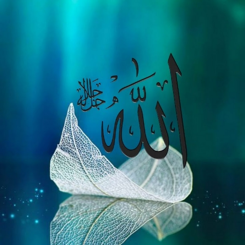 Hire Shakib vlog — Daily Vlogs & Personal Life YouTube creator for sponsorships