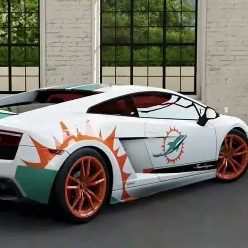 Dolphins1fann
