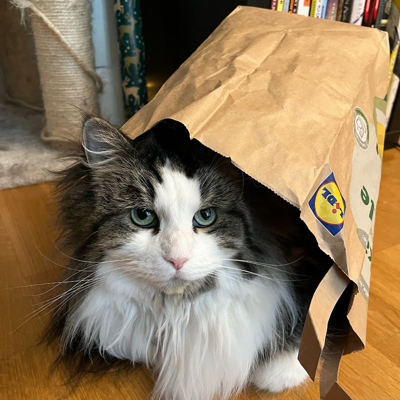 Cat Dad Gaming