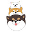 APXRlTxGRDg-channel-avatar-시바견 곰이탱이여우 Shiba GTY
