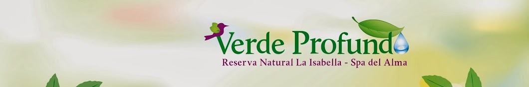 Verde profundo ইউটিউব চ্যানেল অ্যাভাটার
