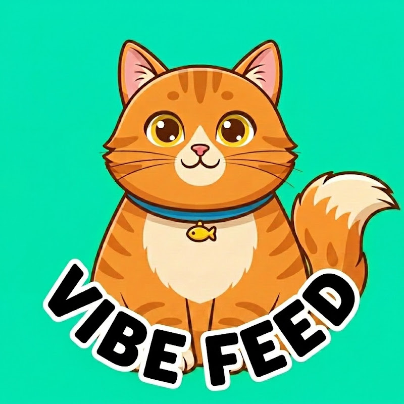 Vibe Feed