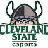 cJylYjR6X60-channel-avatar-CSU Vikes Esports