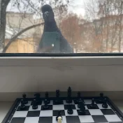 ☆彡彡𝕄𝕖𝕥𝕖𝕠𝕣𝕒𝟜𝕜𝕒ミミ☆