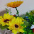 @TV-nz8pe