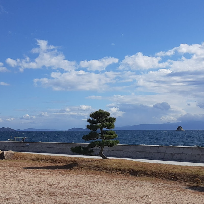 すっきりチャンネル(谷川萌々子情報)