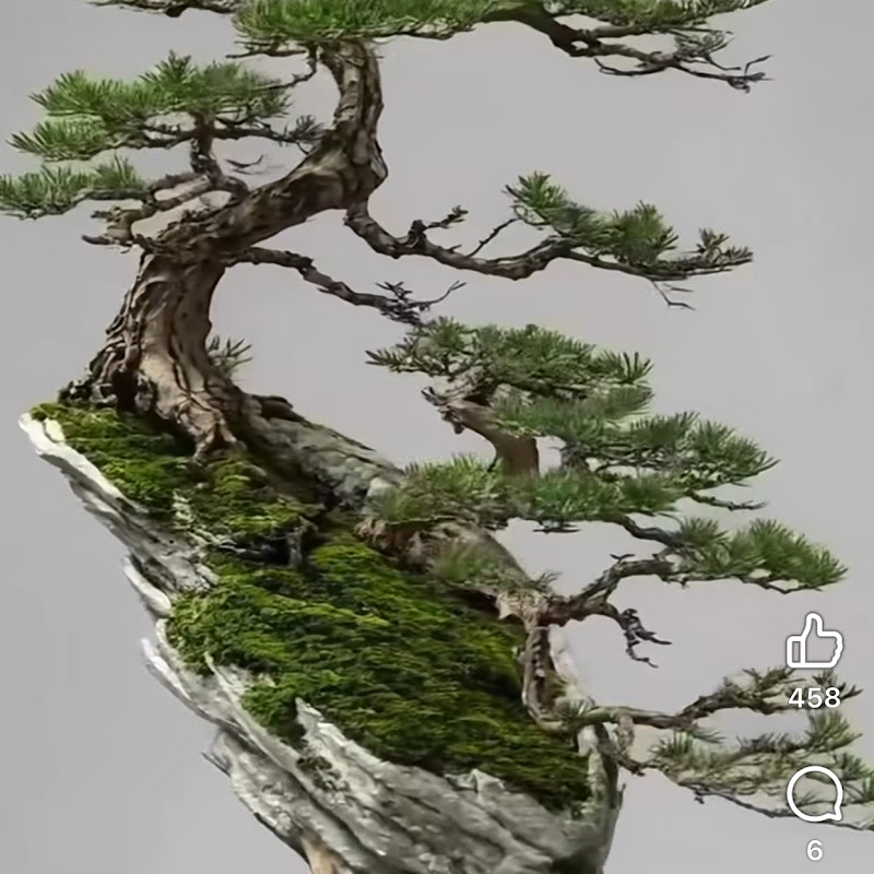동물의 세계