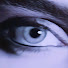 JdQGf4mNTQk-channel-avatar-shanghaied