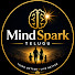 45czbAcMJDQ-channel-avatar-    MindSpark