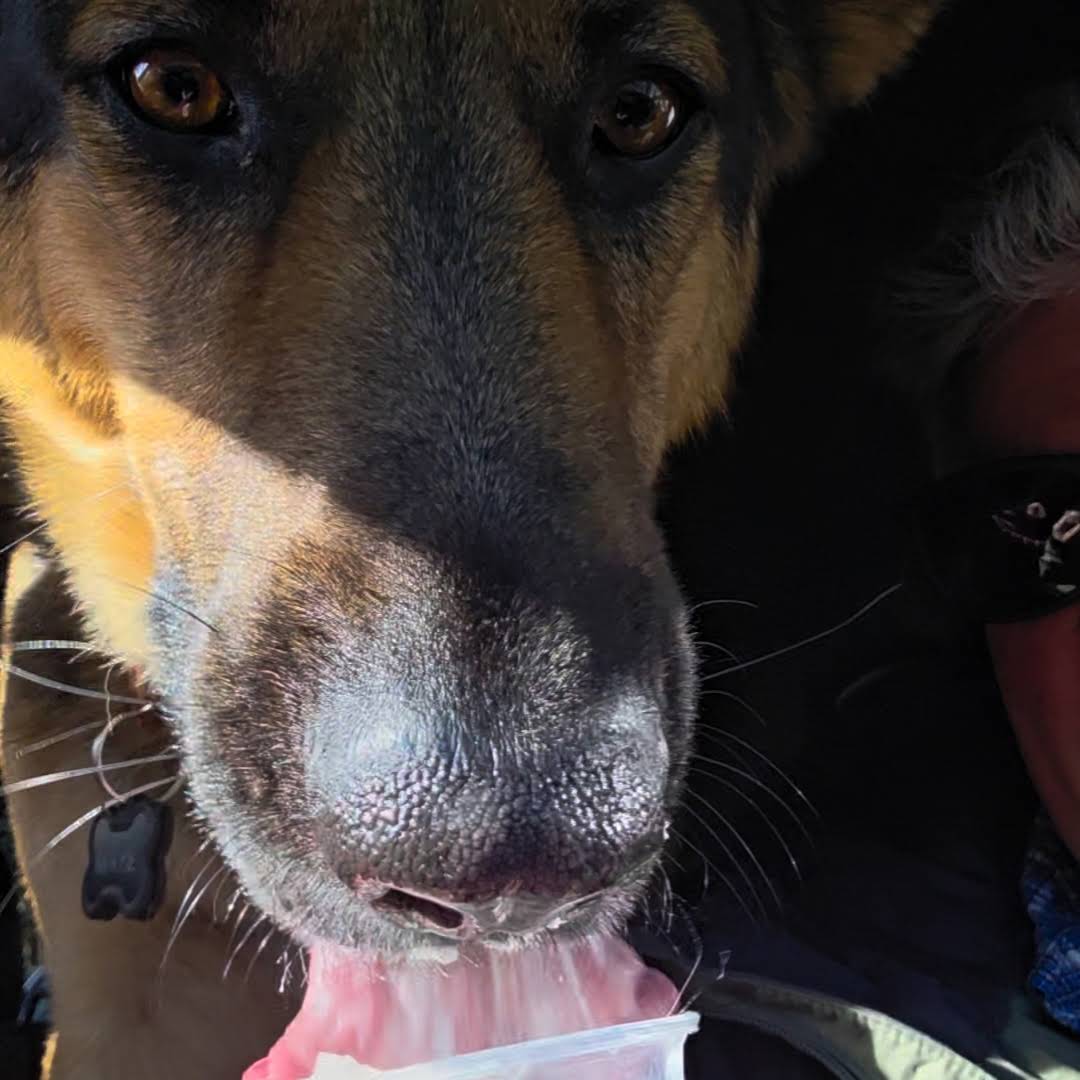 Post from GSD_Moose