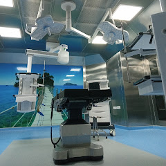 Surya medicraft official 