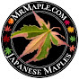 MrMaple Show logo
