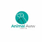 Animal Awww VideosHub logo