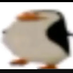 panguin