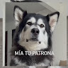 Автор